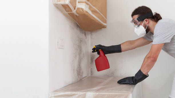 Professional Mold Removal technician working in Akron, CO