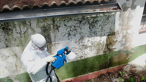 Trusted Crawl Space Mold Removal service in Akron, CO - Cheap Mold Removal